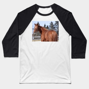 Palace Malice filly Baseball T-Shirt